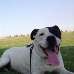 Meet your Posher, Jackie